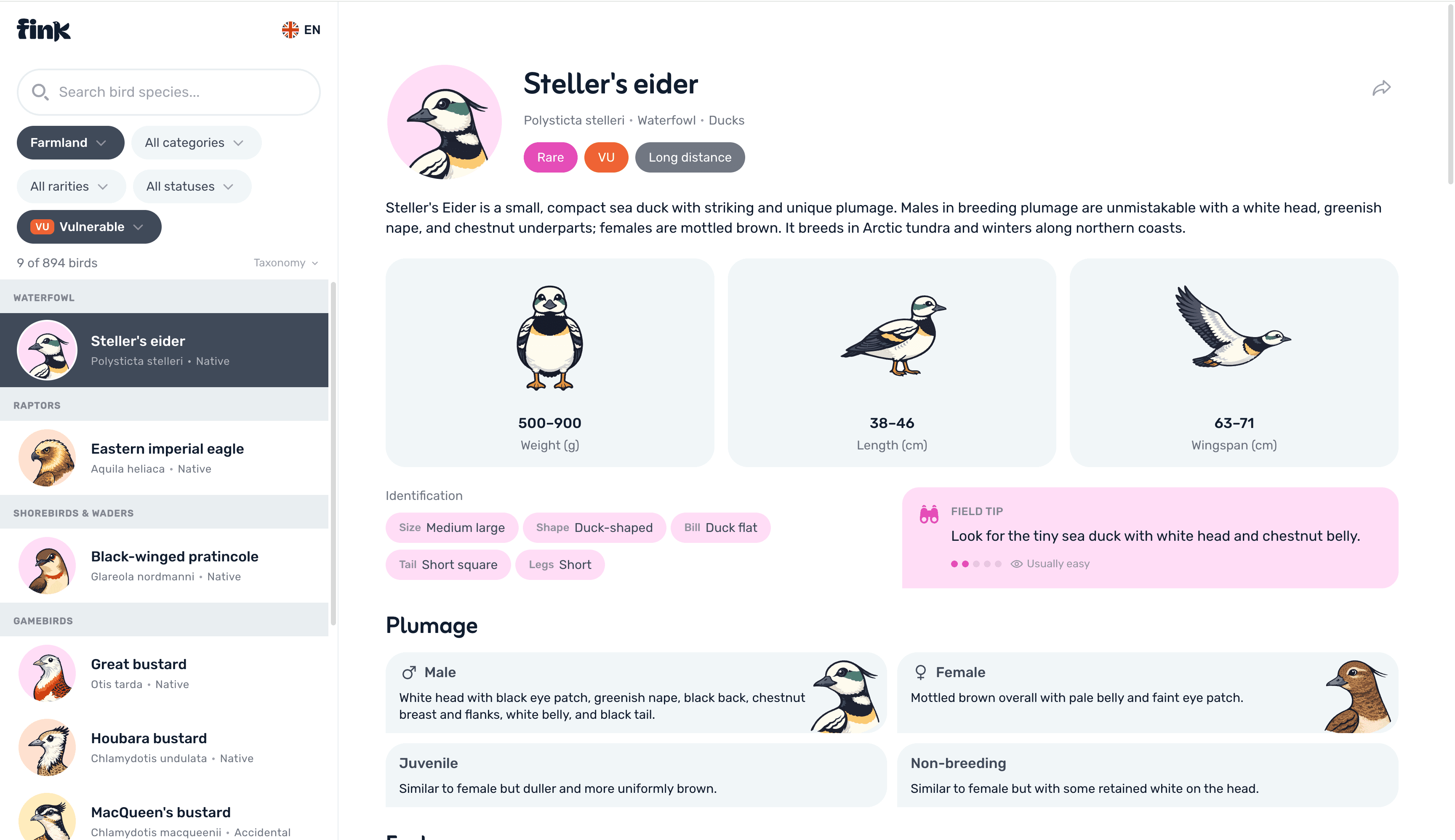 Fink Bird Wiki — 894 European bird species